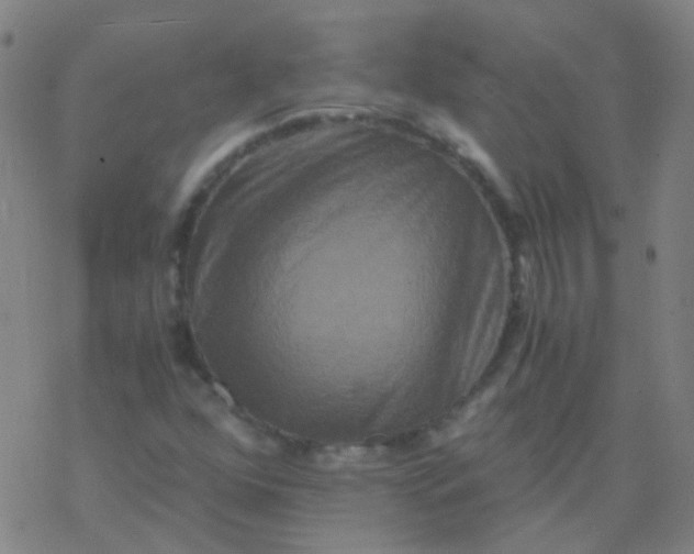 X0000076451352200610271813