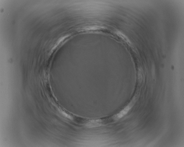 X0000076451353200610271813