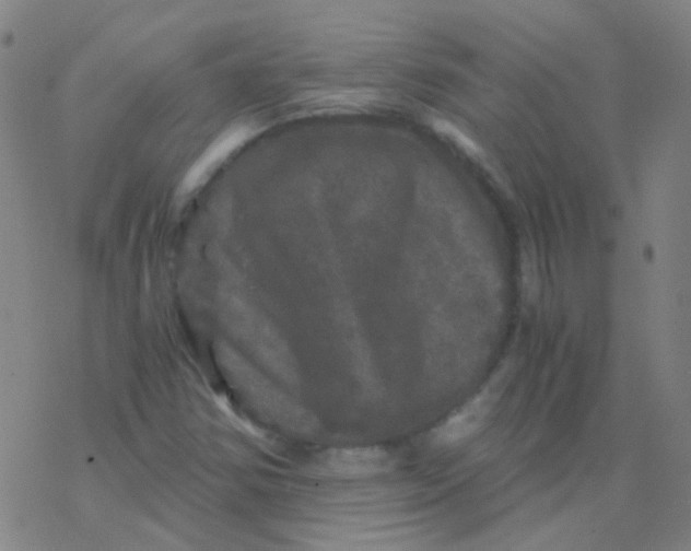 X0000076451354200610271813