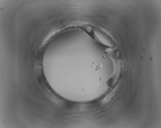 X0000076451355200610271813