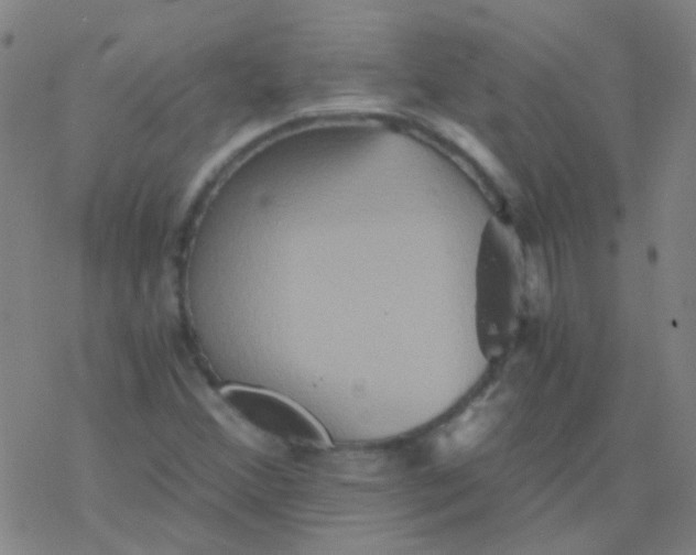 X0000076451356200610271813