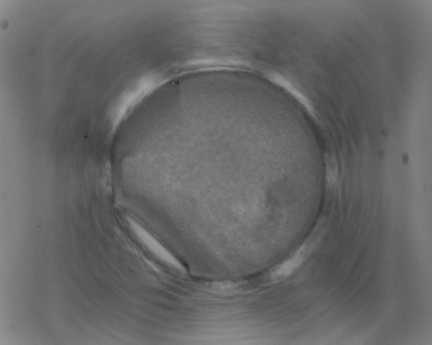 X0000076451357200610271813