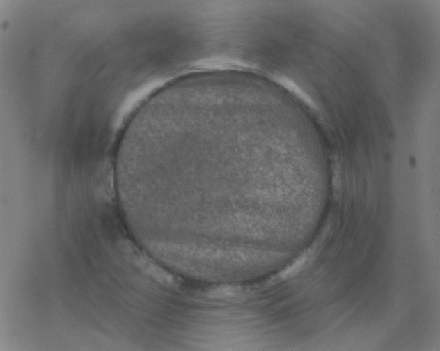 X0000076451358200610271813