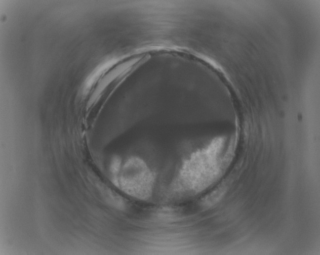 X0000076451359200610271813