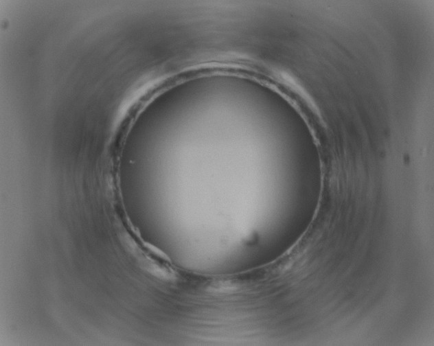 X0000076451360200610271813