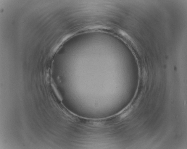 X0000076451361200610271813