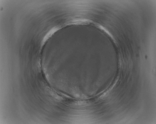 X0000076451362200610271813