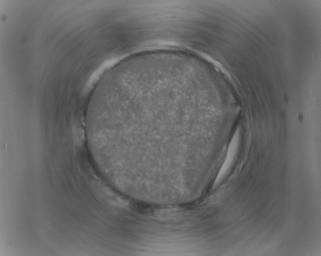 X0000076451363200610271813