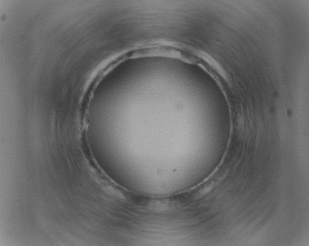 X0000076451364200610271813