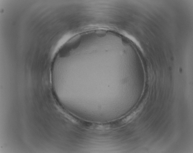 X0000076451365200610271813