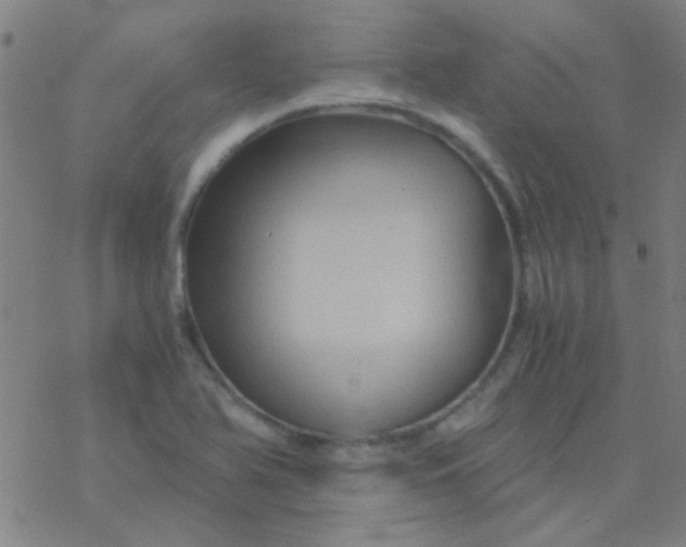 X0000076451366200610271813