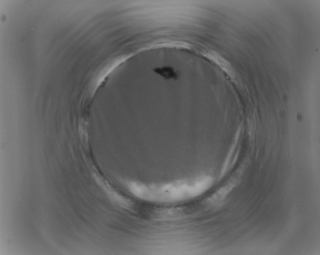 X0000076451369200610271813