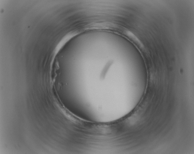 X0000076451370200610271813