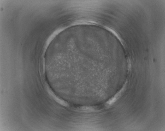 X0000076451371200610271813