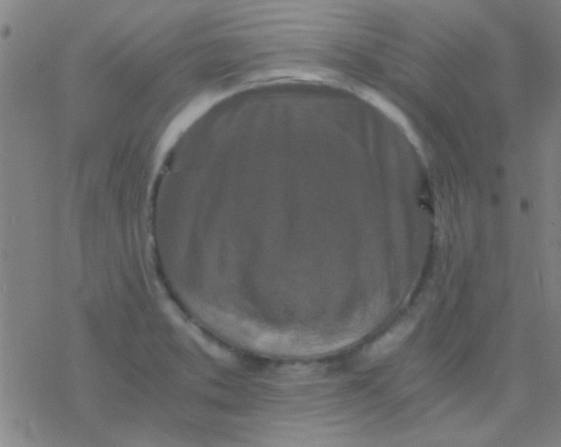 X0000076451373200610271813