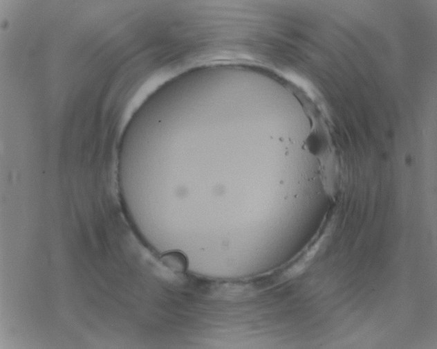 X0000076451374200610271813