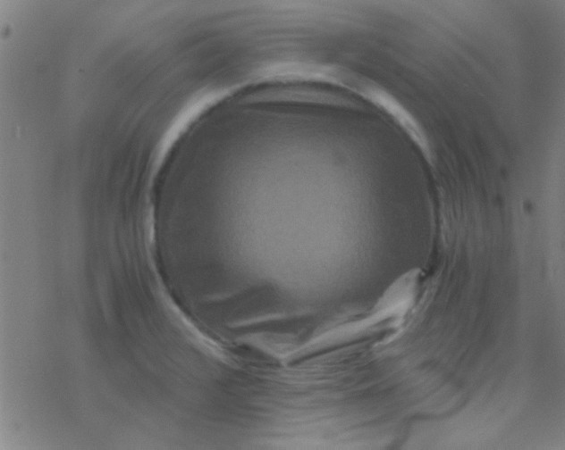 X0000076451376200610271813