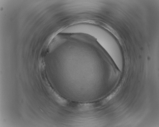 X0000076451377200610271813