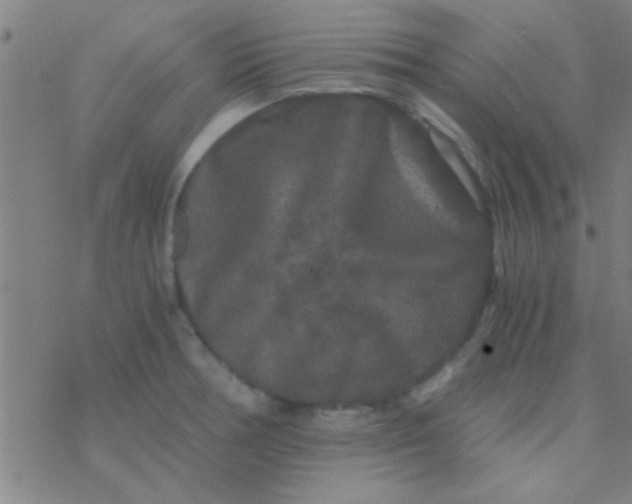 X0000076451378200610271813