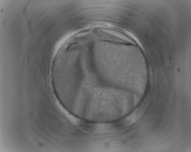 X0000076451379200610271813