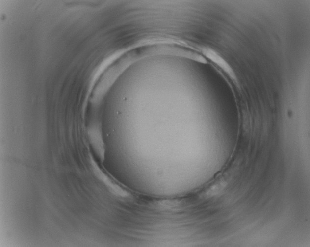 X0000076451380200610271813