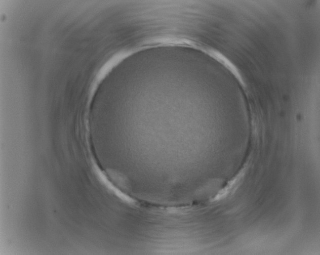 X0000076451381200610271813