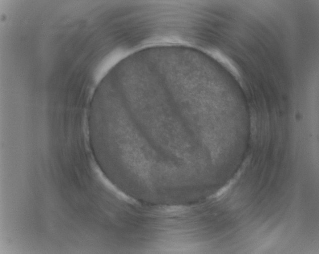 X0000076451382200610271813