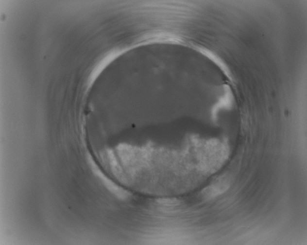 X0000076451383200610271813