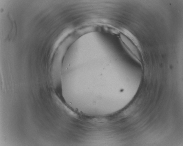 X0000076451384200610271813