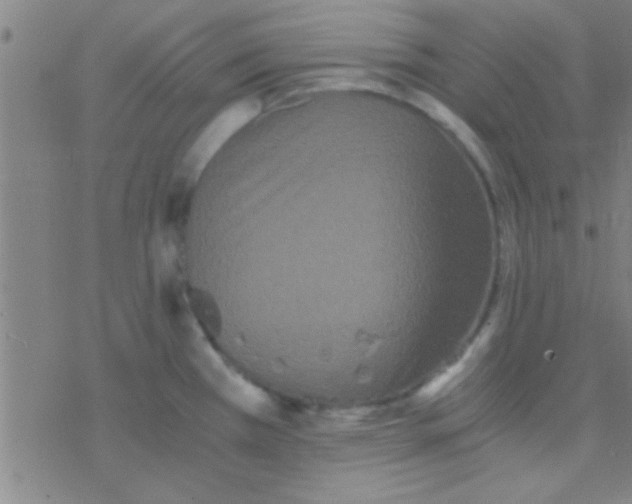 X0000076451385200610271813