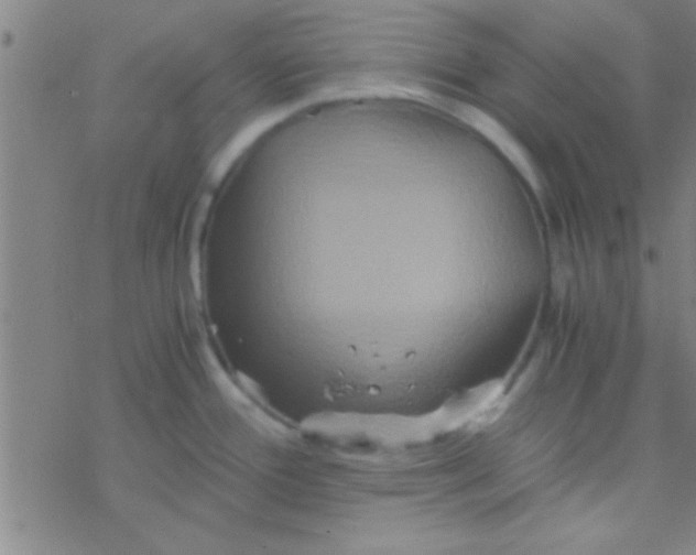 X0000076451388200610271813