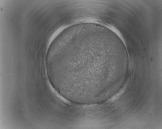 X0000076451389200610271813