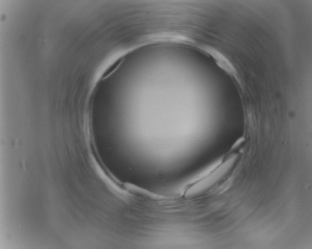 X0000076451391200610271813