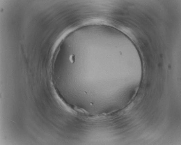 X0000076451392200610271813