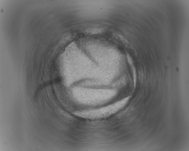 X0000076451393200610271812