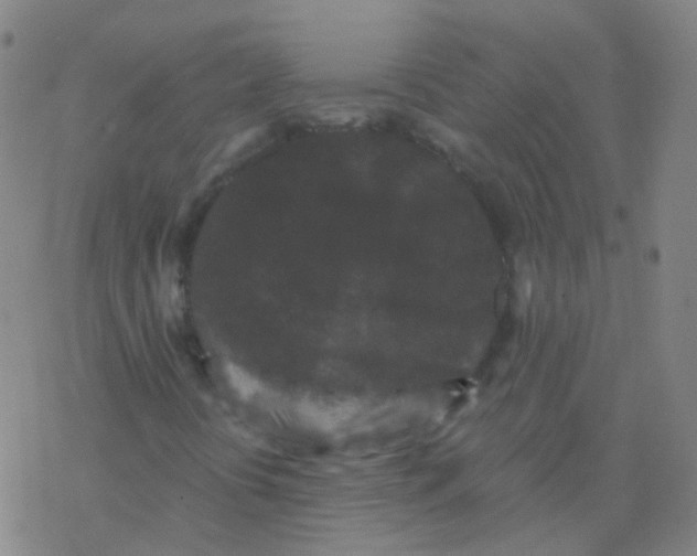 X0000076451394200610271812