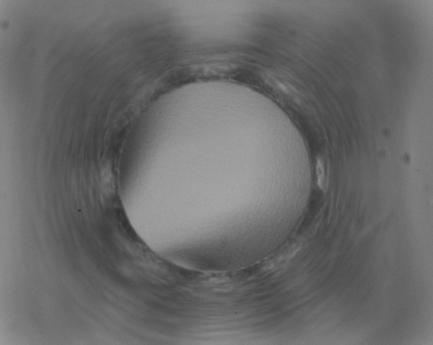 X0000076451395200610271812