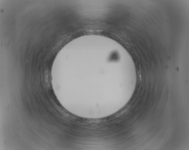 X0000076451396200610271812