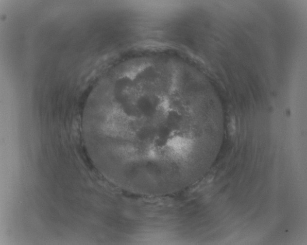 X0000076451397200610271812