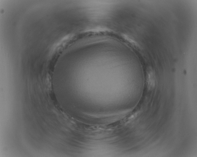 X0000076451398200610271812