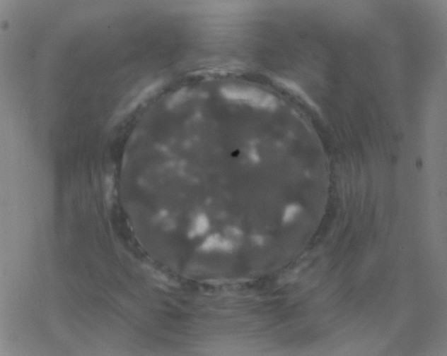 X0000076451399200610271812