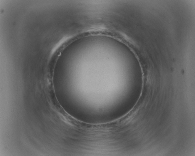 X0000076451400200610271812