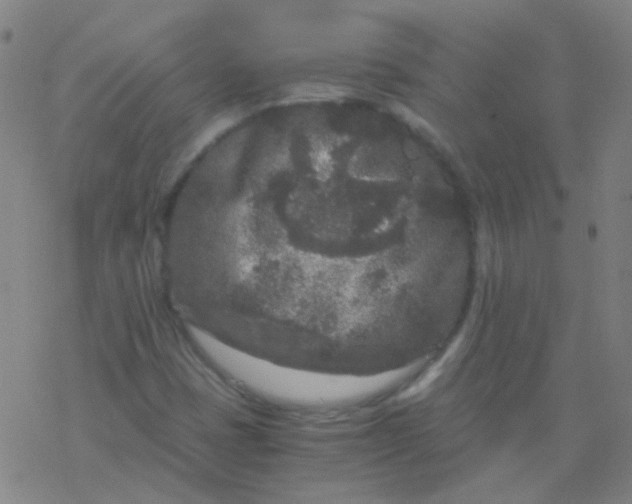 X0000076451401200610271812