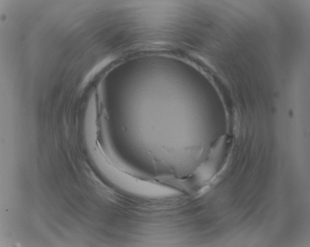 X0000076451402200610271812