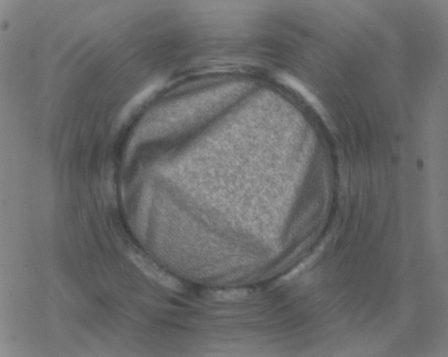 X0000076451403200610271812