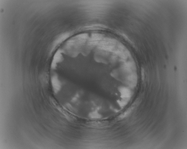 X0000076451405200610271812