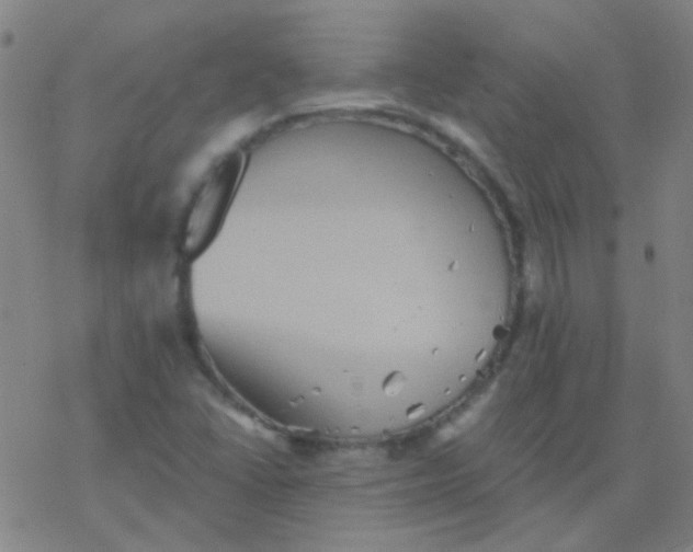 X0000076451406200610271812