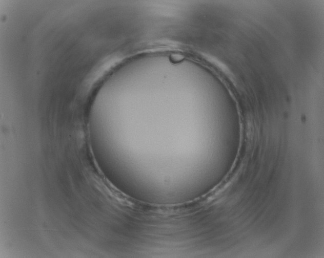 X0000076451407200610271812