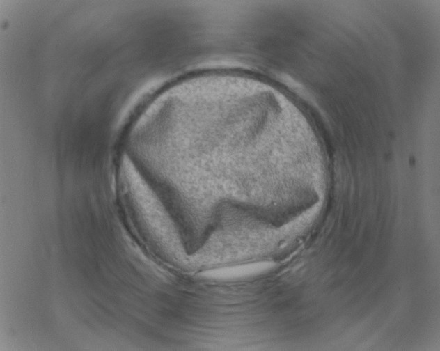 X0000076451408200610271812