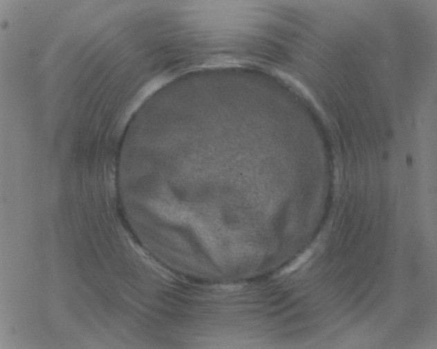 X0000076451409200610271812